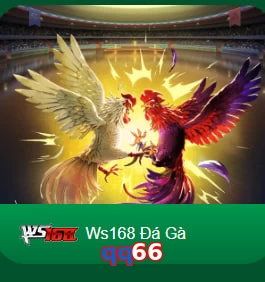 qq66