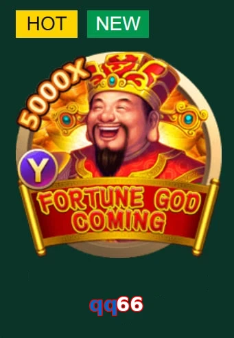 qq66